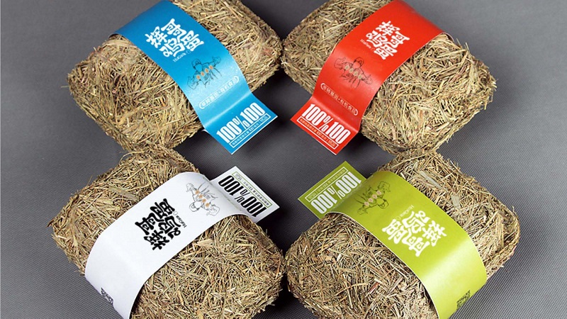 菜市场设计项目VI