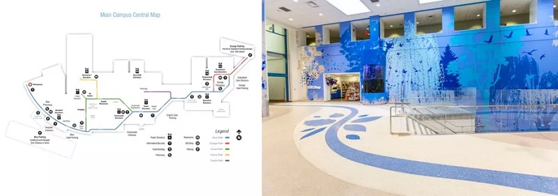 儿童医院在地板上使用一致性的彩色编码地图和路径